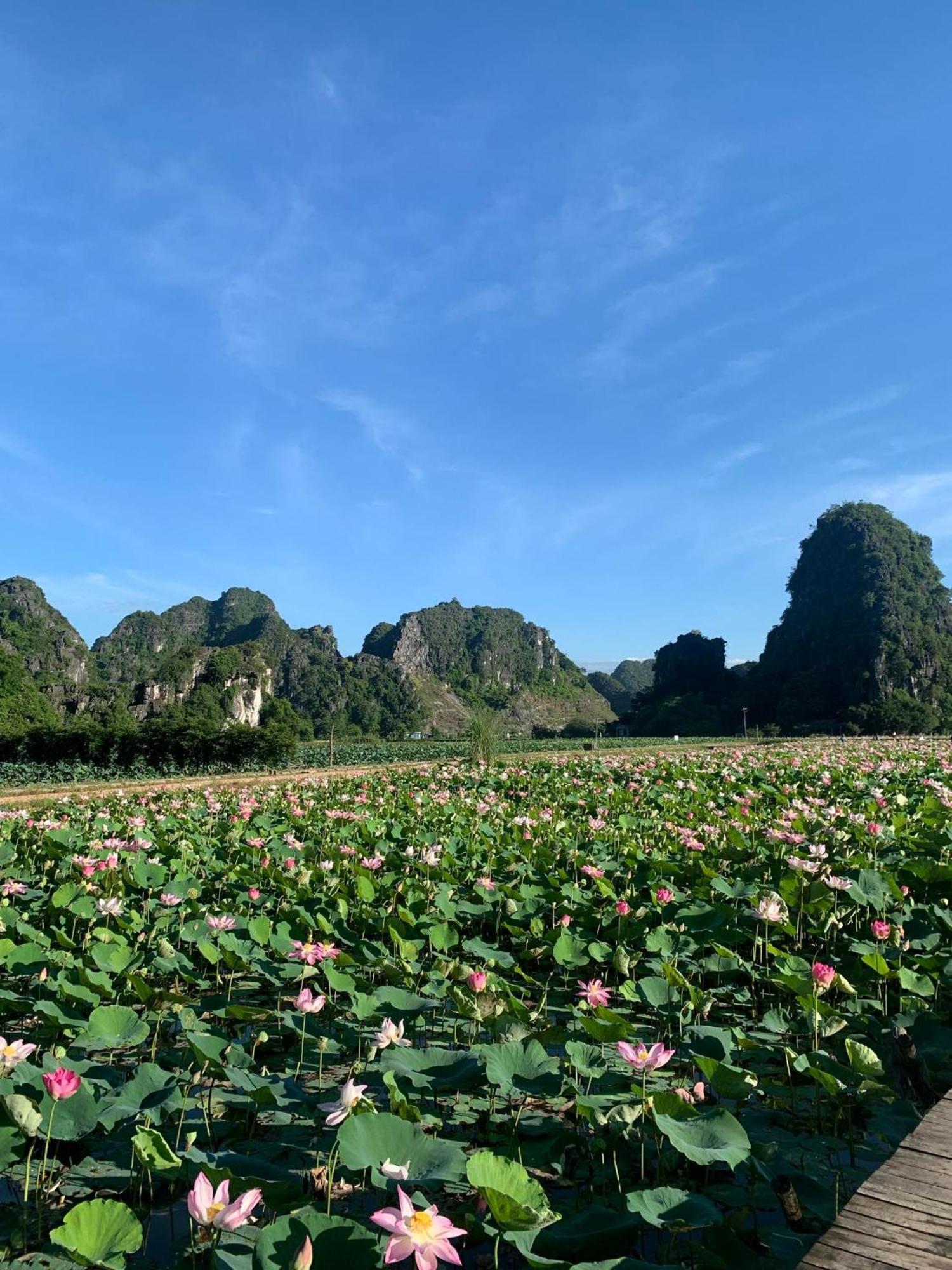 Hang Lan Bungalow Ninh Binh Eksteriør bilde